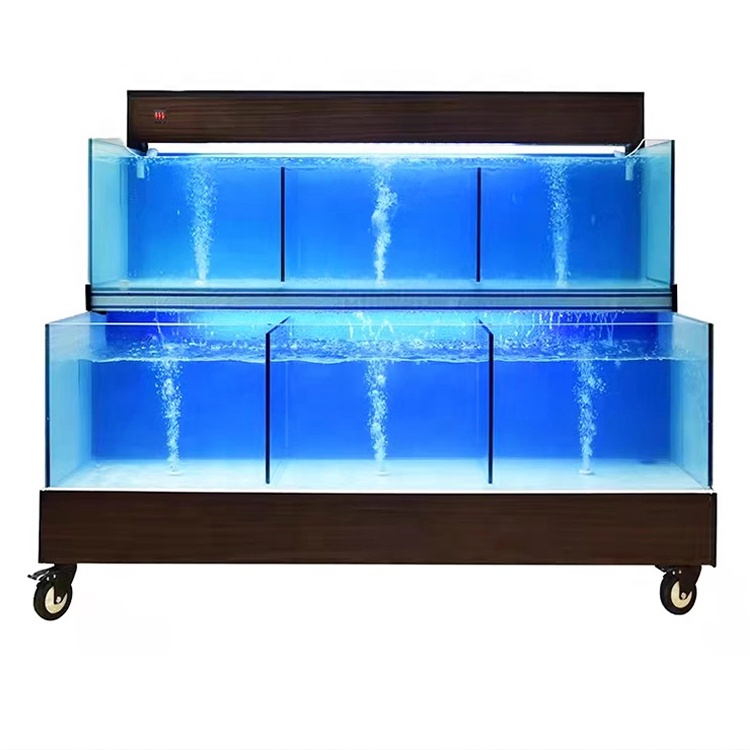 Sistema Operativo Intelligente - Aquarium Fish Restaurant recensione e prezzo