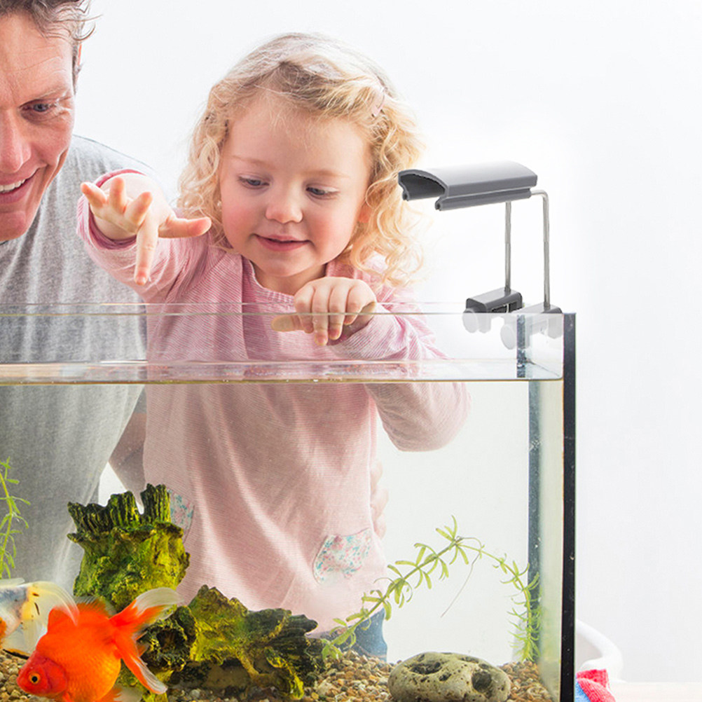 Supporto per Luce Acquario Reg - Aquarium Fish Bowl recensione e prezzo