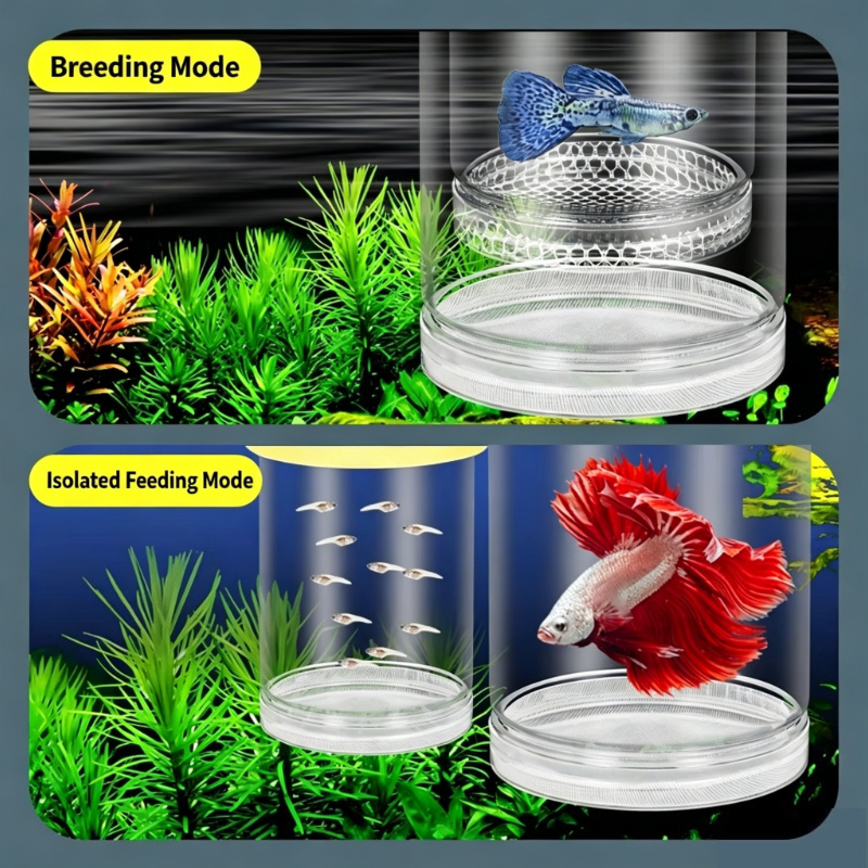 Scatola Trasparente Galleggian - Aquarium Fish Cave recensione e prezzo