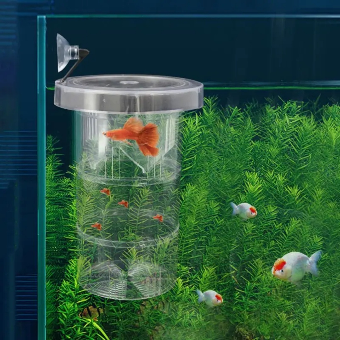 Acrilico Galleggiante Allevame - Aquarium Fish Cave recensione e prezzo