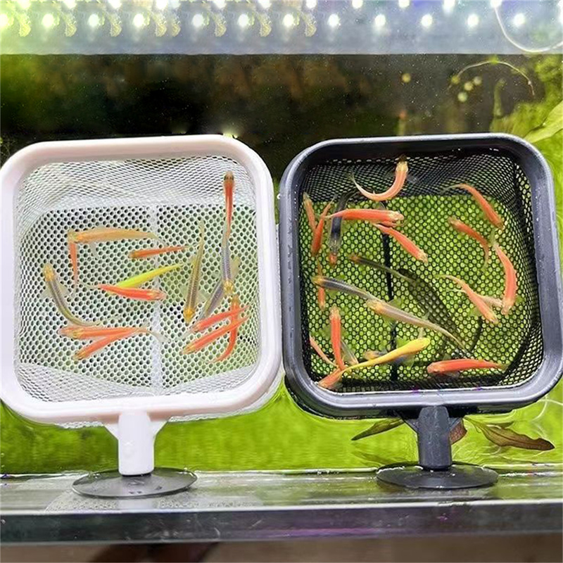 AquariumFish Rete da pesca Ret - Aquarium Fish Net Small recensione e prezzo