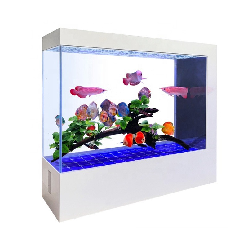 Acquario in Vetro Nero Persona - Aquarium Fish And Price recensione e prezzo