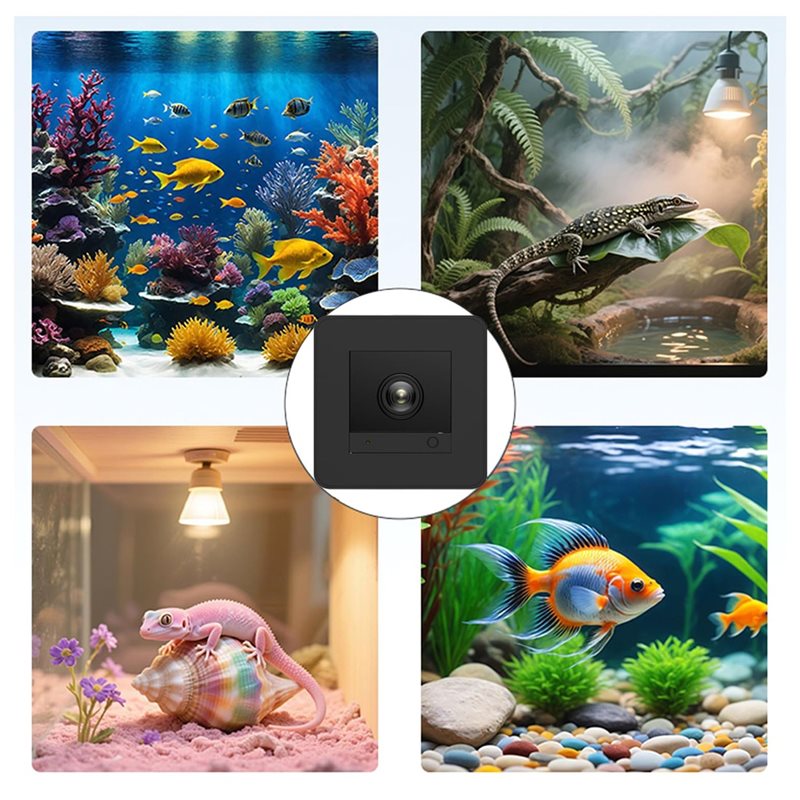 【Calo di Prezzo!】 Telecamera p - Aquarium Fish And Price recensione e prezzo