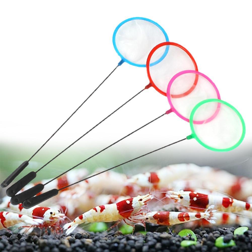 Reti colorate per pesci d'acqu - Aquarium Fish Net Small recensione e prezzo