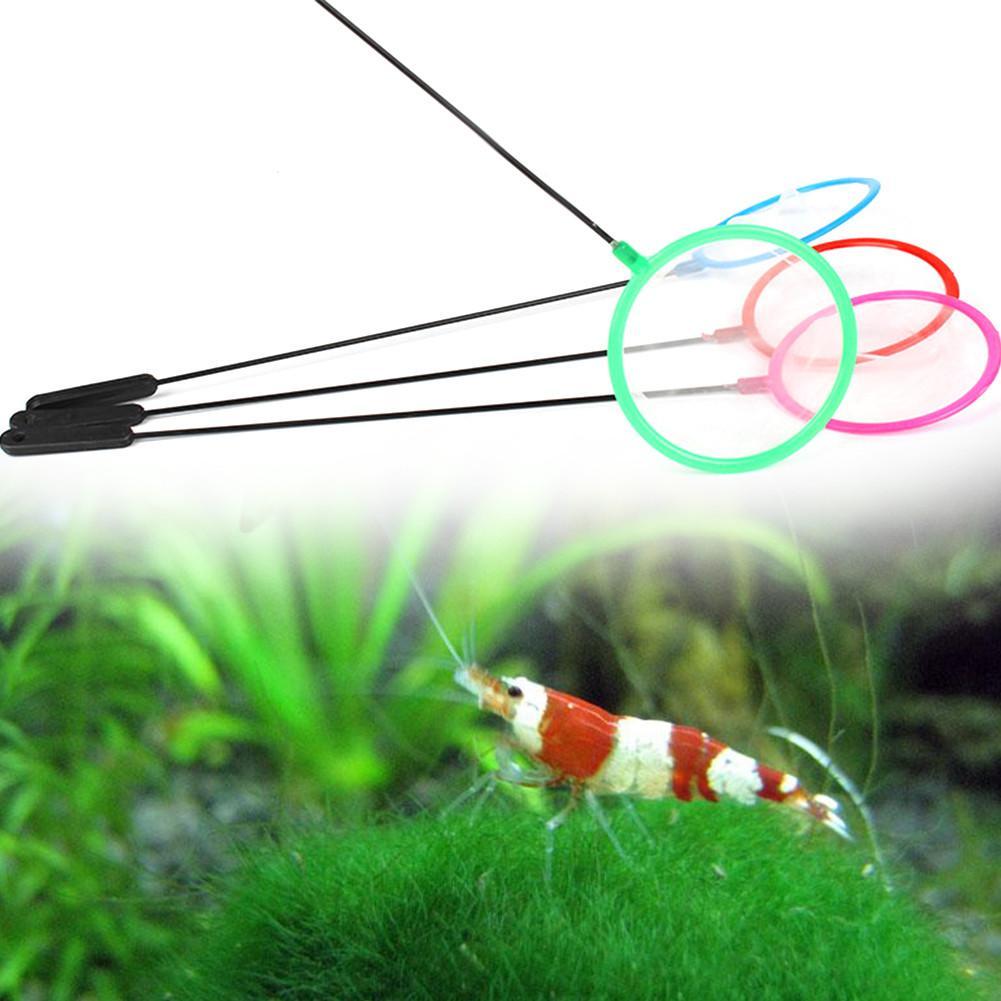 Reti colorate per pesci d'acqu - Aquarium Fish Net Small recensione e prezzo